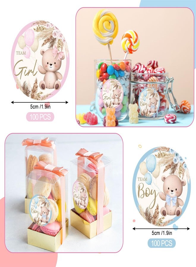 Whaline 200Pcs Bear Stickers Team Boy Team Girl Gender Reveal Paper Decals Blue Pink Self-Adhesive Decorative Round Stickers for Baby Shower Gender Reveal Party Supplies - Image 2