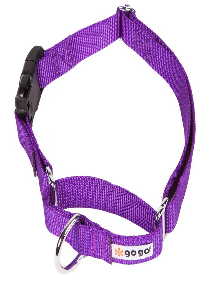GOGO Pet Products 3/4-Inch Martingale Dog Collar, Medium, Purple - Image 1