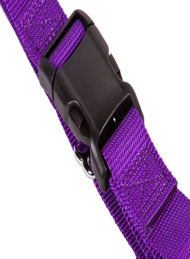 GOGO Pet Products 3/4-Inch Martingale Dog Collar, Medium, Purple - Image 4