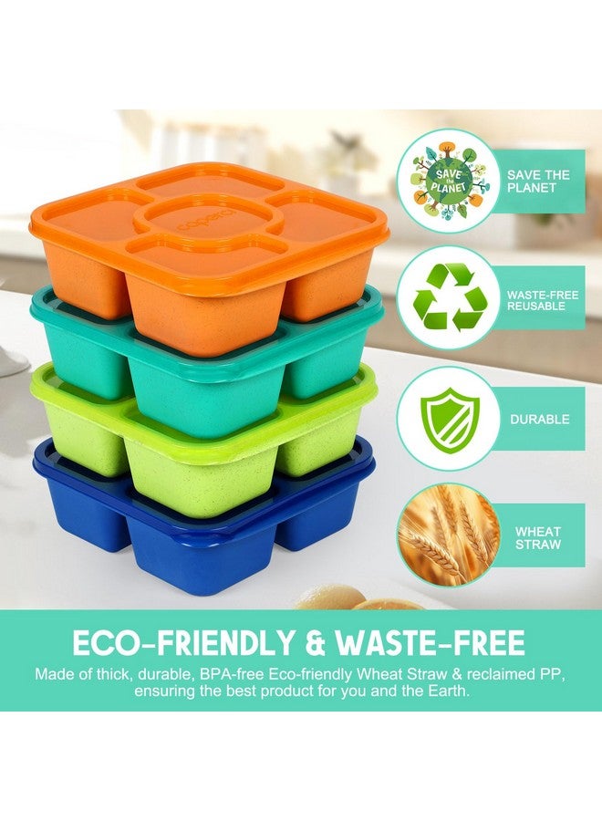 Caperci Original Lunchable Snack Containers for Kids & Adults - 5 Compartments Bento Snack Boxes with 4 Leakproof Small Containers, Wheat Straw, BPA-Free, Set of 4 (Jewel Brights) - Image 3