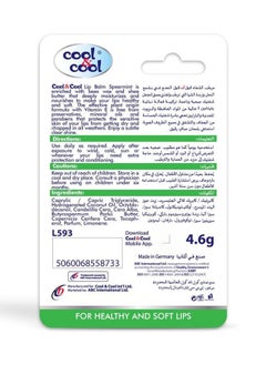 Cool & Cool Intense Nutrition Bees Wax + Vitamin E Lip Balm - Spearmint with Shea Butter 4.6g  - Image 3