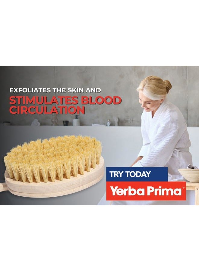 Yerba Prima Tampico Skin Brush (Pack of 2) - Natural Vegetable Fiber Bristles for Dry Skin Brushing - Image 5