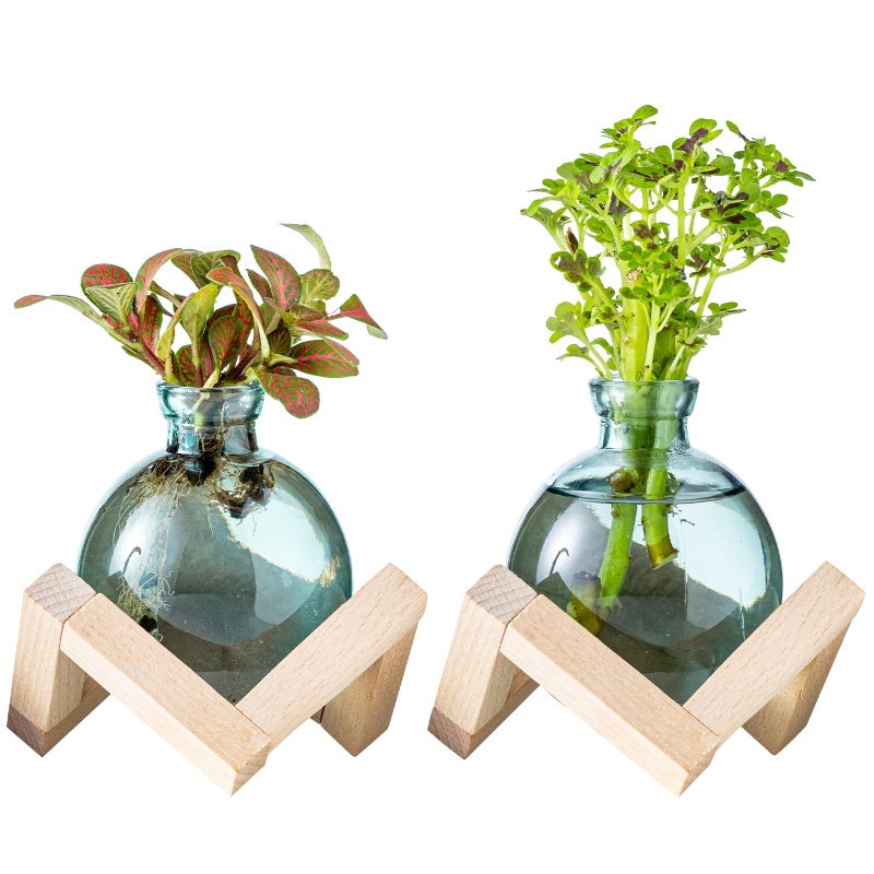 wangsdjy Plant Propagation Station, Plant Terrarium with Wooden Stand for Hydroponic Plant Propagation, Propagation Vases for Plants, Green Glass Bulb Vases for Home Office Decor (2) - Image 1