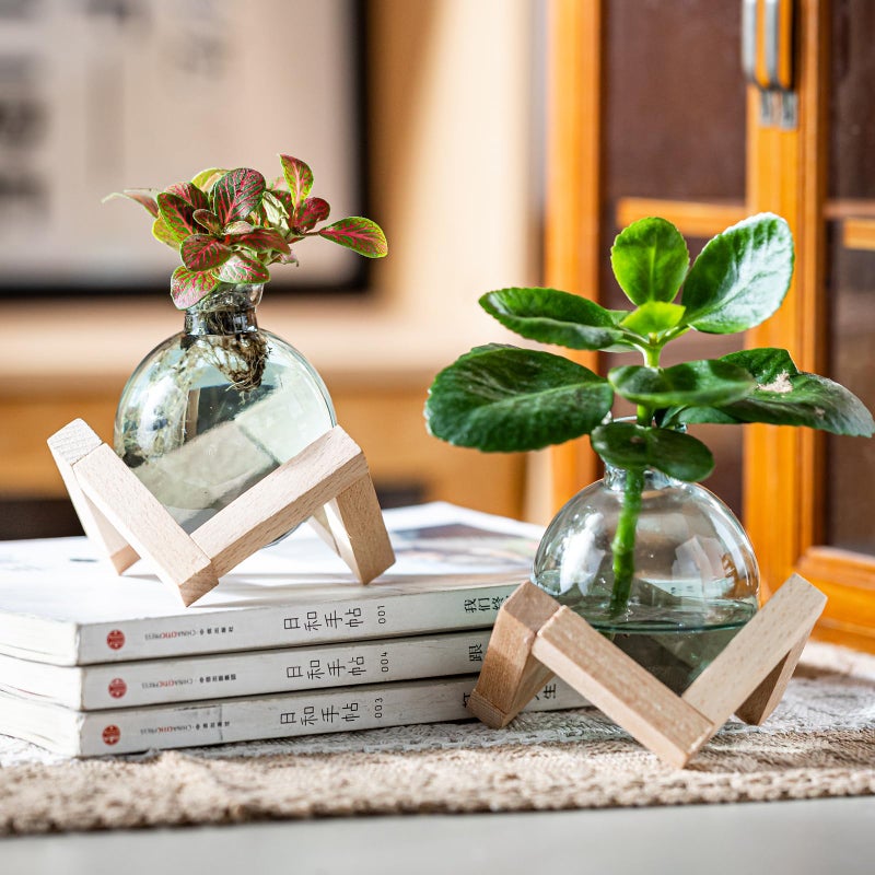 wangsdjy Plant Propagation Station, Plant Terrarium with Wooden Stand for Hydroponic Plant Propagation, Propagation Vases for Plants, Green Glass Bulb Vases for Home Office Decor (2) - Image 4