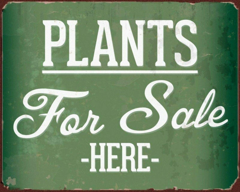 ZMKDLL Plants for Sale Garden Centre Allotment Greenhouse Flowers Metal Tin Sign12x8 InchesL8