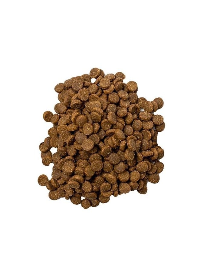 Doodzy Classico- Cat Dry Food For All Life Stage 20 kg - Image 2