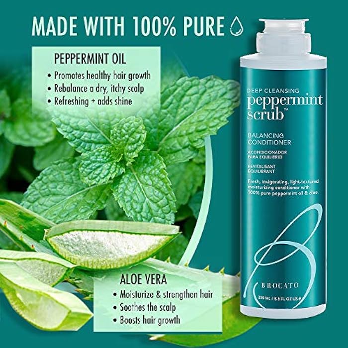 Brocato Peppermint Scrub Balancing Conditioner, 8.5 oz | Lightweight Moisturizing Conditioner with Pure Peppermint Oil Improved Detangling and Styling | No Sulfate or Parabens - Image 2