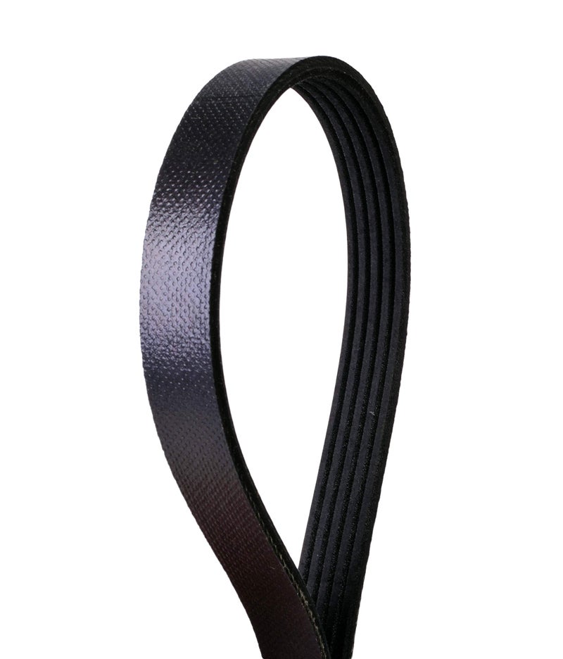 Continental 5PK863 Metric Multi V-Belt - Image 2