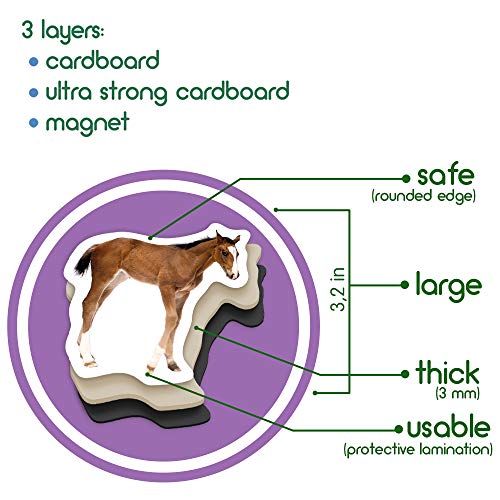 magdum Fridge Magnets for Toddlers - Magdum - 18 Farm Animal Magnets for Refrigerator – Safe Real Magnetic Animals Mom & Baby - Big Realistic magnets for Kids - Learning Toy Set - Children Educational Gift - Image 3
