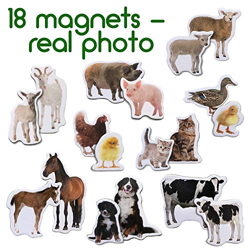 magdum Fridge Magnets for Toddlers - Magdum - 18 Farm Animal Magnets for Refrigerator – Safe Real Magnetic Animals Mom & Baby - Big Realistic magnets for Kids - Learning Toy Set - Children Educational Gift - Image 2