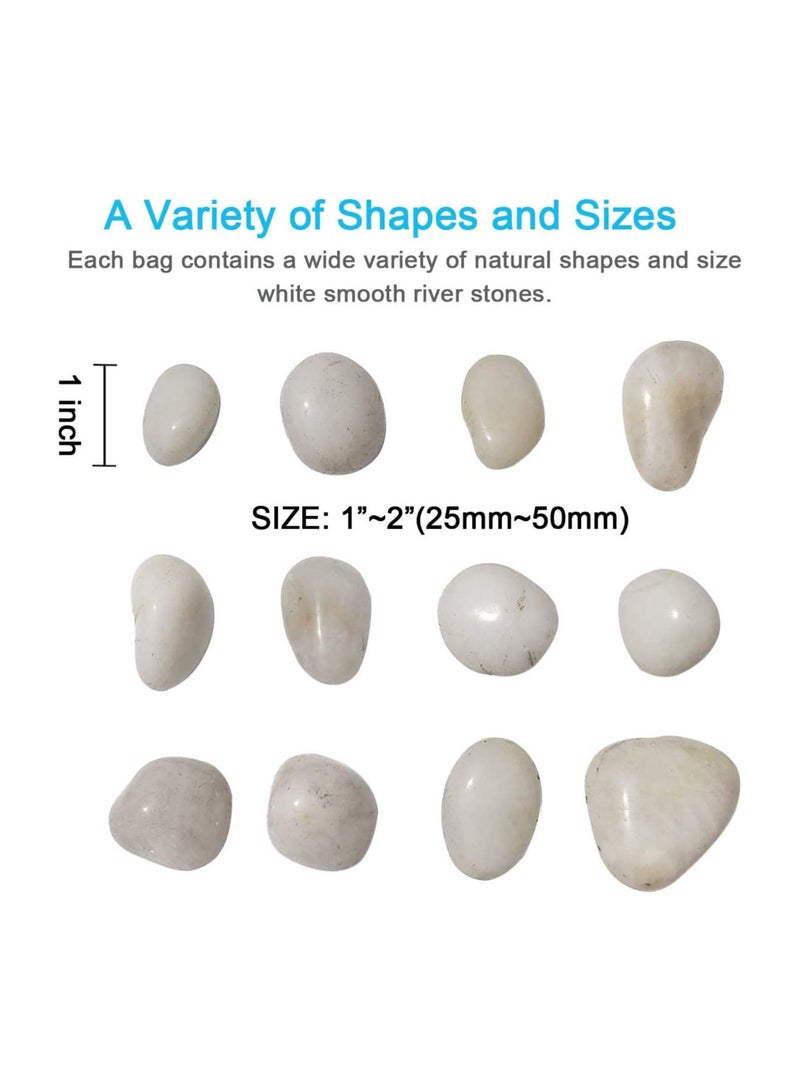 M-jump 2 pounds 1 - 2 gravel size Natural polished decorative stone used in pots, such as hydroponic vases, aquariums and terrariums to enhance appearance - Image 2