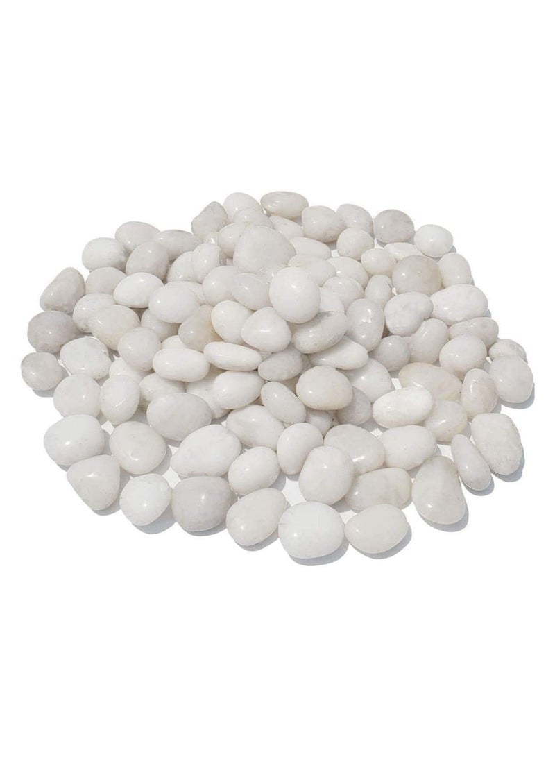M-jump 2 pounds 1 - 2 gravel size Natural polished decorative stone used in pots, such as hydroponic vases, aquariums and terrariums to enhance appearance - Image 1