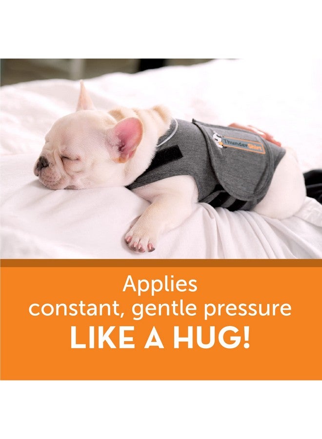 ThunderShirt For Dogs, X Small, Heather Gray Classic  Dog Anxiety Relief Calming Vest - Image 3