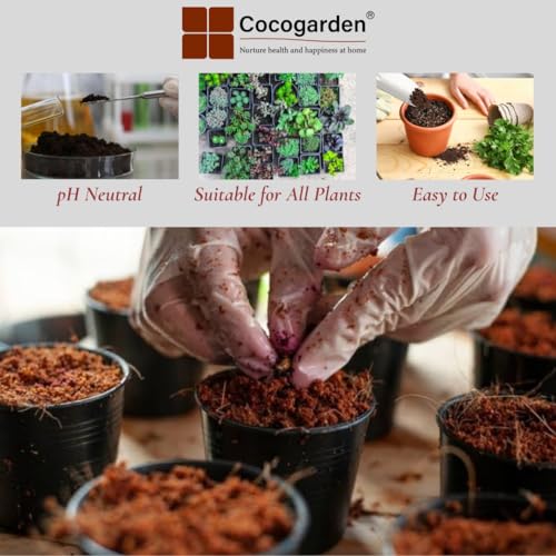 Cocogarden Cocopeat Disc (100 mm, Pack of 2) | for Seedling, Germination, Home Gardening, Potting Soil Mix for Plants, Hydroponics - Image 5