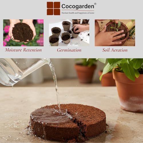 Cocogarden Cocopeat Disc (100 mm, Pack of 2) | for Seedling, Germination, Home Gardening, Potting Soil Mix for Plants, Hydroponics - Image 4