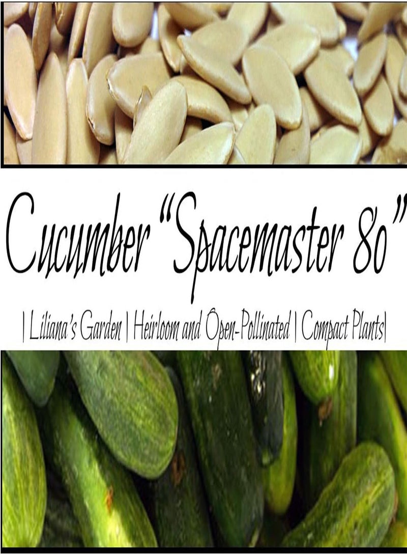 GGOOT Ultra-Compact Cucumber Plant Seeds  - Ideal for Container Gardens and Patio Gardens – Heirloom Seeds |  |