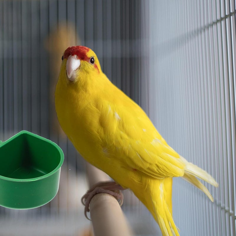 VICASKY 20pcs Bird Food Bowl and Water Feeder Set Plastic Bird Cage Food Container Clips and Small Pets Universal Feeding Supplies for Parrots and Rabbits - Image 3