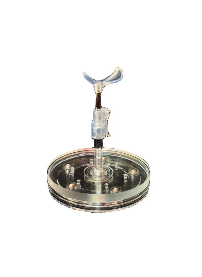 Generic - Six Branch Frame Fixed Handmade Mail B Rotating Transparent Bracket Dot 6 Points Display Standing Six 8 Points 4 Points 5 Points-Height:Stainless Steel - With Rotating Chassis Bracket - Large Size 4 Points - Image 1