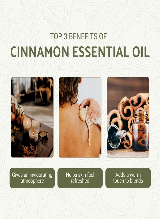 Nature Packaged Cinnamon Essential Oil - Direct from Sri Lankan Essential Oils - 100% Pure - Natural Aceite de Canela for Aromatherapy & Wellness - Premium Grade - 15ml - Image 2