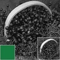 Tiffen 4311G1 43mm 11 Green 1 Camera Lens Filter - Image 2