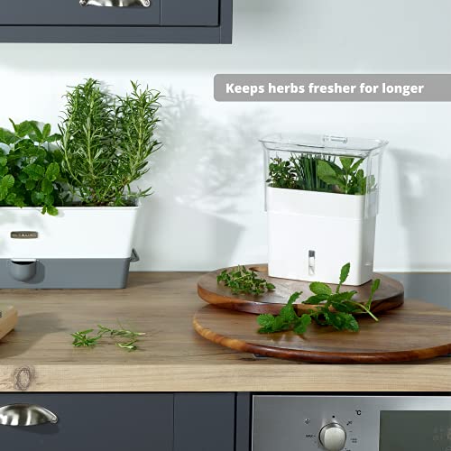 COLE & MASON Fresh Herb Keeper  Container  Clear - Image 3