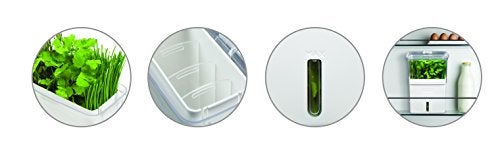 COLE & MASON Fresh Herb Keeper  Container  Clear - Image 5