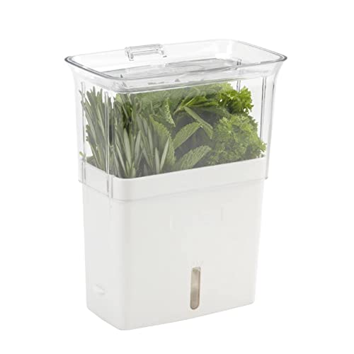 COLE & MASON Fresh Herb Keeper  Container  Clear - Image 1