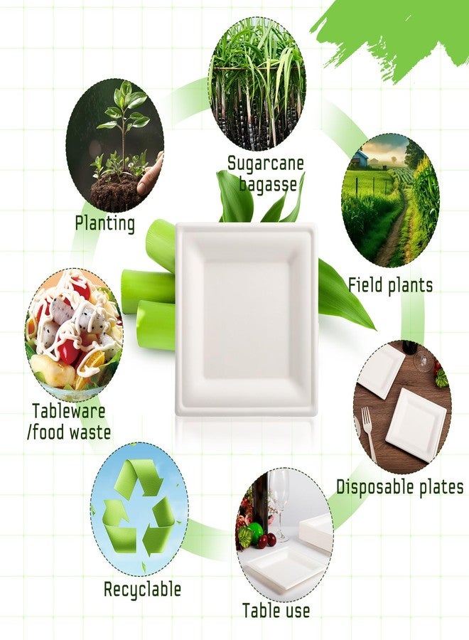 Tivcck 300 pack Compostable Square Paper Plates,6 Inch Dessert Plates,Heavy Duty Biodegradable Sugarcane Plate,Disposable Small Paper Plate for Daily Meals,Party,Picnic,Cake(White) - Image 3