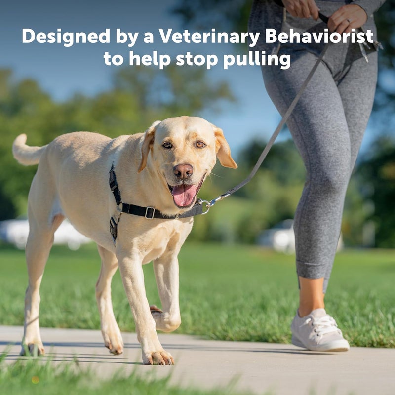 PetSafe Easy Walk Dog Harness - No Pull Design in Royal Blue/Navy Blue, Small Size - Image 2