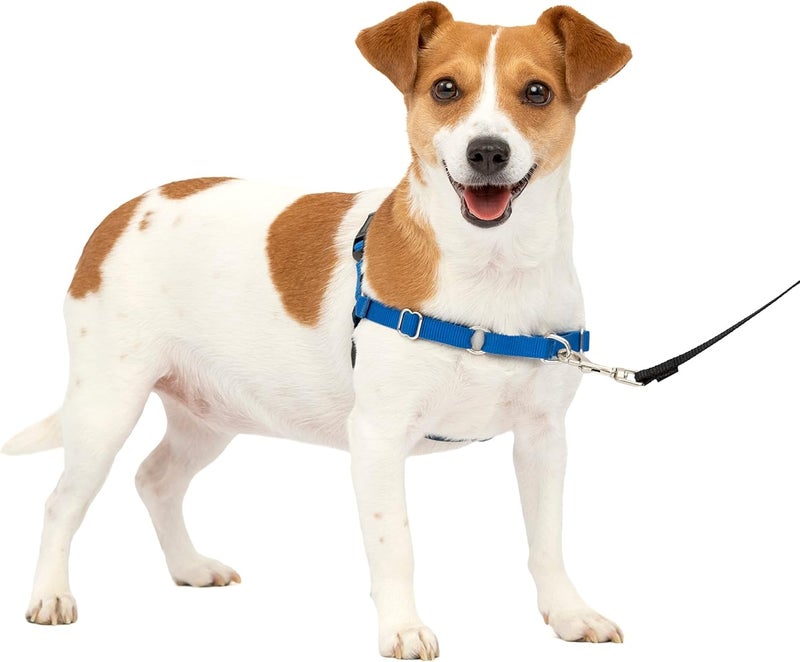 PetSafe Easy Walk Dog Harness - No Pull Design in Royal Blue/Navy Blue, Small Size - Image 1