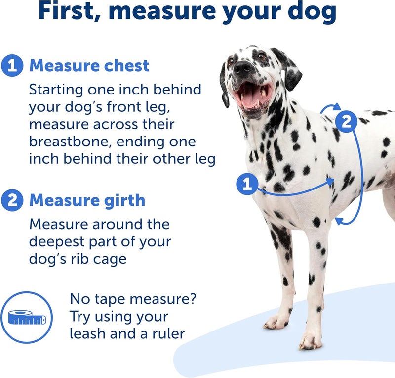 PetSafe Easy Walk Dog Harness - No Pull Design in Royal Blue/Navy Blue, Small Size - Image 4
