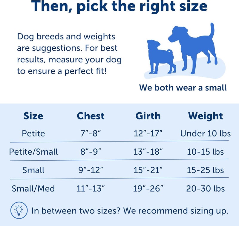 PetSafe Easy Walk Dog Harness - No Pull Design in Royal Blue/Navy Blue, Small Size - Image 5