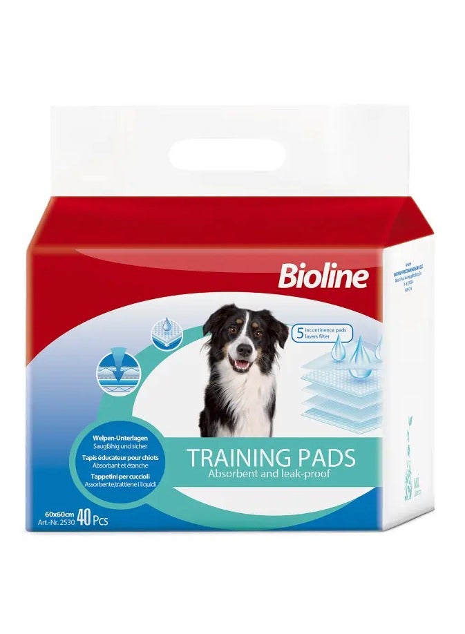 Bioline وسادات تدريب بيول لاين 60x60 سم عدد: 40 - Image 1