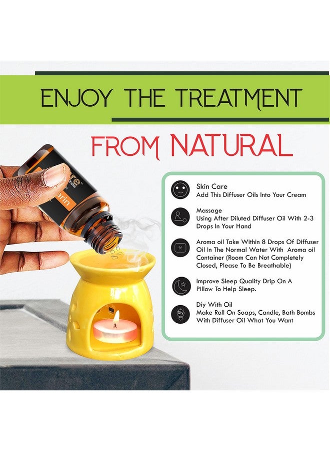 بيور سورس انديا زيت عطري من Pure Source India (مهدئ، الورد الإنجليزي، الياسمين الطازج، توابل التفاح، زنبق المحيط والزنجبيل)، 10 مل لكل منهما، متعدد الألوان - عبوة من 6 قطع - Image 3