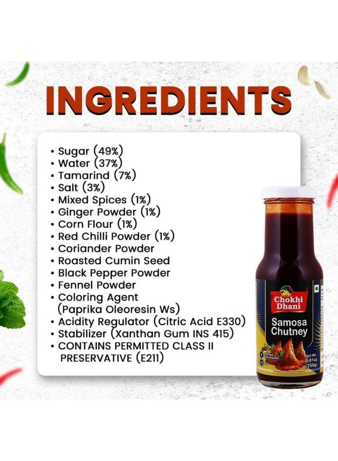 Chokhi Dhani Samosa Chutney 250 gm - Image 2