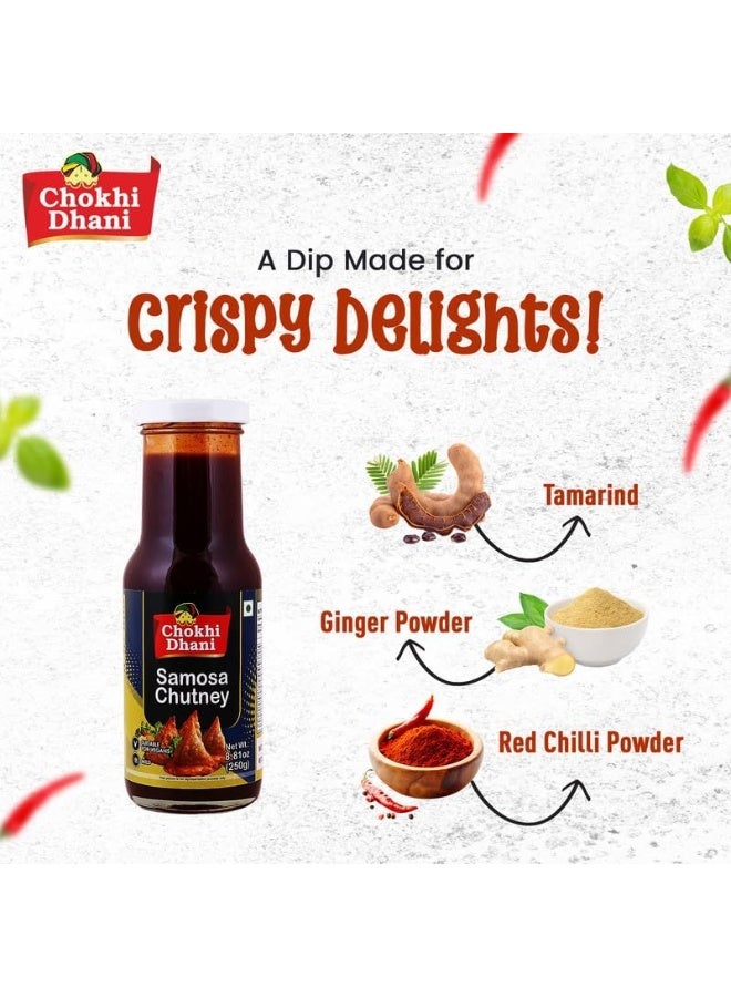 Chokhi Dhani Samosa Chutney 250 gm - Image 4