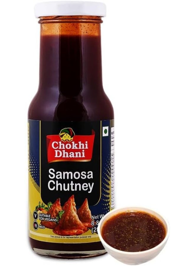 Chokhi Dhani Samosa Chutney 250 gm - Image 1