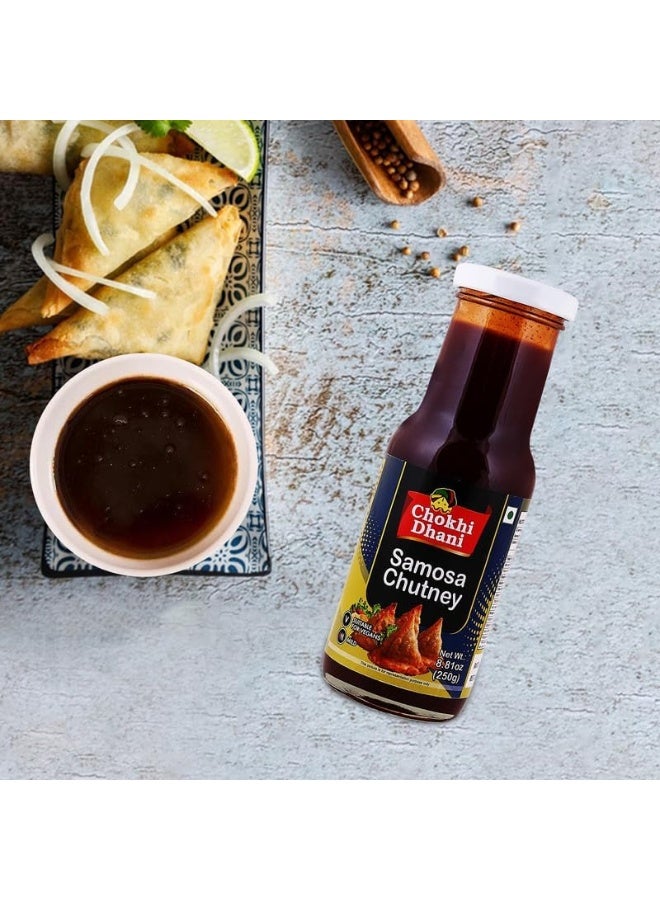 Chokhi Dhani Samosa Chutney 250 gm - Image 3