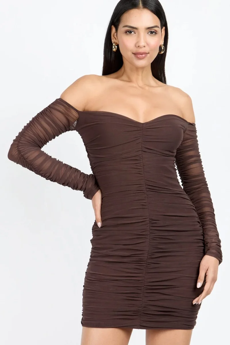 Chocolate Brown Mesh Ruched Bardot Mini Dress