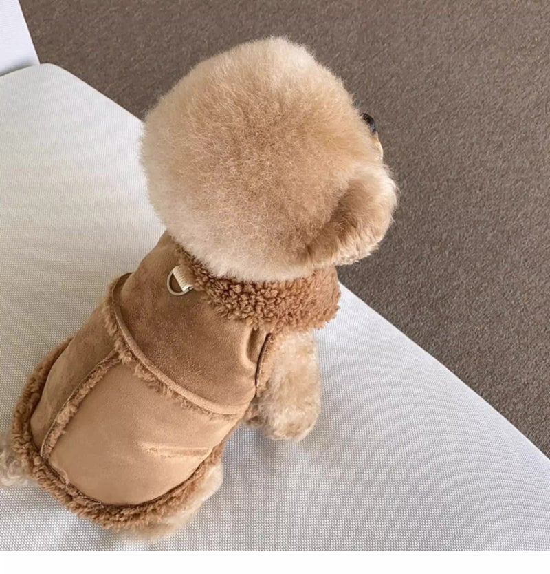 general Pet autumn and winter clothing for cats and dogs, warm vest without leash (for pets under 8 kg) - Image 2