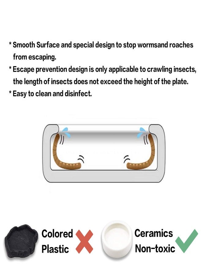 ريفر مجموعة من 4 أطباق ديدان للزواحف، مصنوعة من السيراميك، طبق طعام للسحالي والوزغ (2.7 بوصة) - Image 2