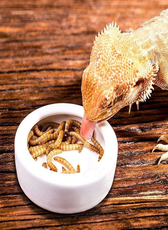 ريفر مجموعة من 4 أطباق ديدان للزواحف، مصنوعة من السيراميك، طبق طعام للسحالي والوزغ (2.7 بوصة) - Image 1