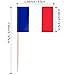 JAVD CYPS 100 Pcs France Mini Stick Cupcake Toppers French Flag Toothpicks for Cake Cocktail Food Bar Celebration Decoration - Image 4