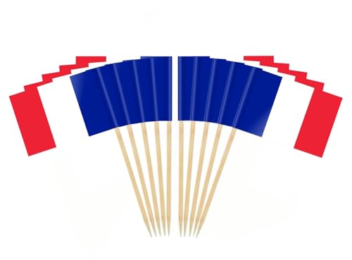 JAVD CYPS 100 Pcs France Mini Stick Cupcake Toppers French Flag Toothpicks for Cake Cocktail Food Bar Celebration Decoration - Image 2