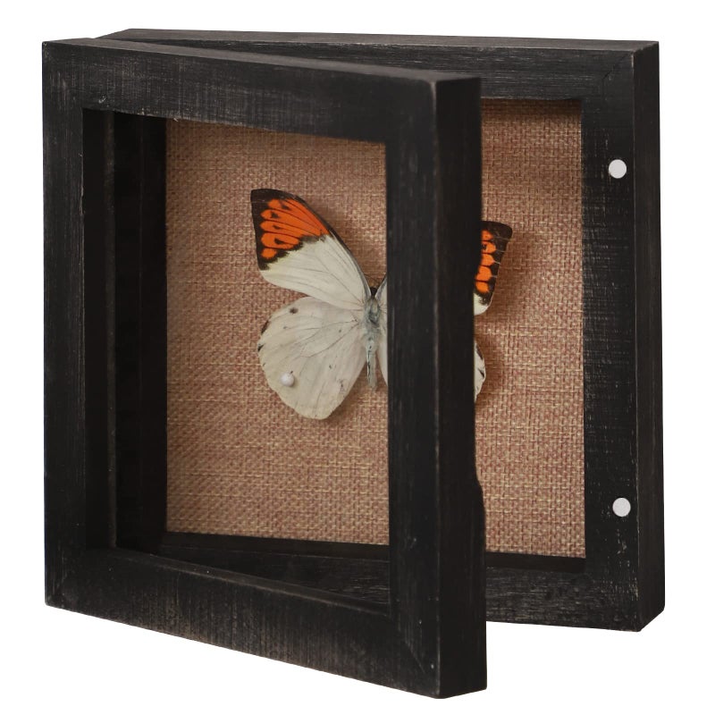 BECTSBEFF 6x6 Square Shadow Box Display Size 5x5 Shadow Box Frame with Glass Small Display Case with Hinge and Magnetic Door for Shells Taxidermy Keepsake Photos Tickets CoinsWeathered Black 
