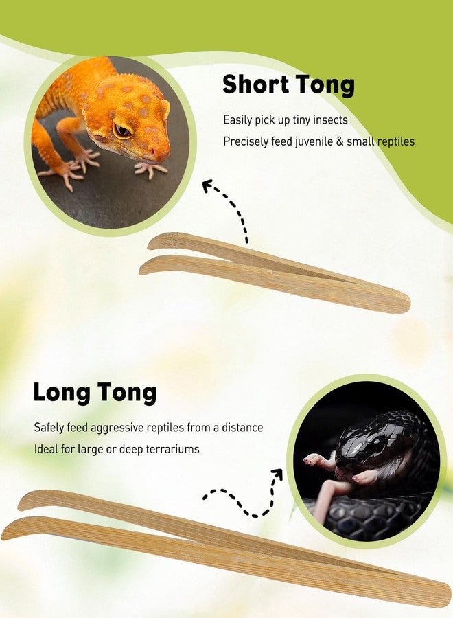 باوفلي مجموعة ملقط إطعام الزواحف من باوفلاي، قطعتان، ملقط من الخيزران بطول 11 بوصة و6.5 بوصة، ملقط طويل وآمن لإطعام الزواحف، أداة تغذية مناسبة للسحالي والتنين الملتحي والوزغ والثعابين - Image 5