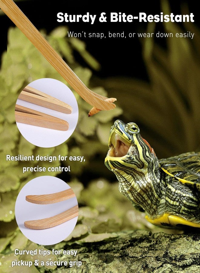 باوفلي مجموعة ملقط إطعام الزواحف من باوفلاي، قطعتان، ملقط من الخيزران بطول 11 بوصة و6.5 بوصة، ملقط طويل وآمن لإطعام الزواحف، أداة تغذية مناسبة للسحالي والتنين الملتحي والوزغ والثعابين - Image 4