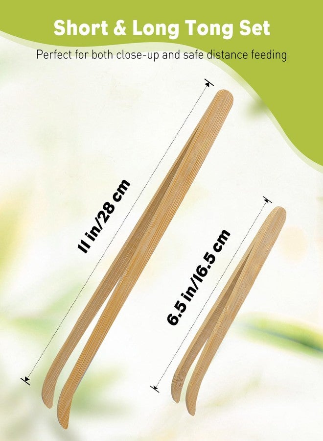 باوفلي مجموعة ملقط إطعام الزواحف من باوفلاي، قطعتان، ملقط من الخيزران بطول 11 بوصة و6.5 بوصة، ملقط طويل وآمن لإطعام الزواحف، أداة تغذية مناسبة للسحالي والتنين الملتحي والوزغ والثعابين - Image 2