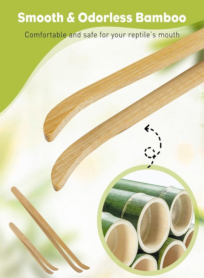 باوفلي مجموعة ملقط إطعام الزواحف من باوفلاي، قطعتان، ملقط من الخيزران بطول 11 بوصة و6.5 بوصة، ملقط طويل وآمن لإطعام الزواحف، أداة تغذية مناسبة للسحالي والتنين الملتحي والوزغ والثعابين - Image 3
