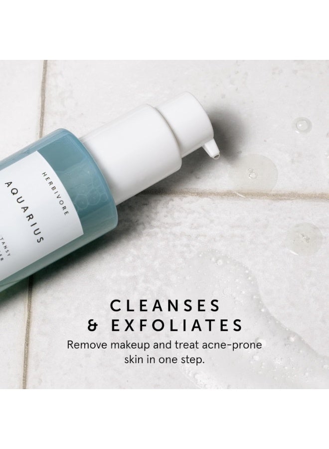 Herbivore Botanicals Aquarius BHA and Blue Tansy Clarity Cleanser Duo - Image 4